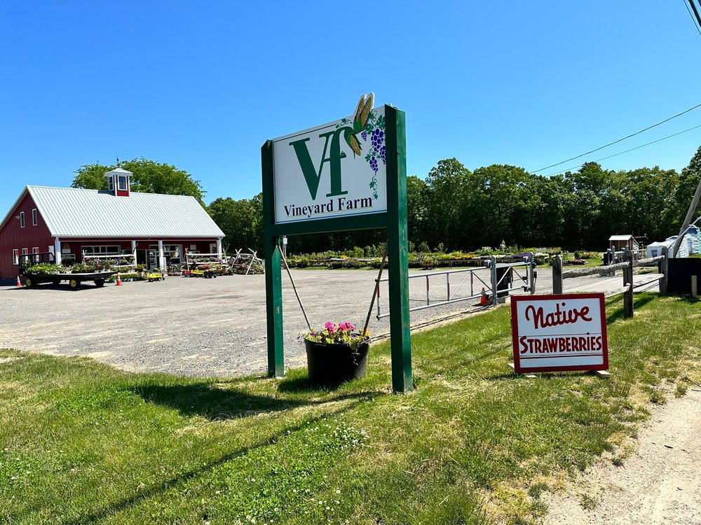 Vineyard%20Farm
