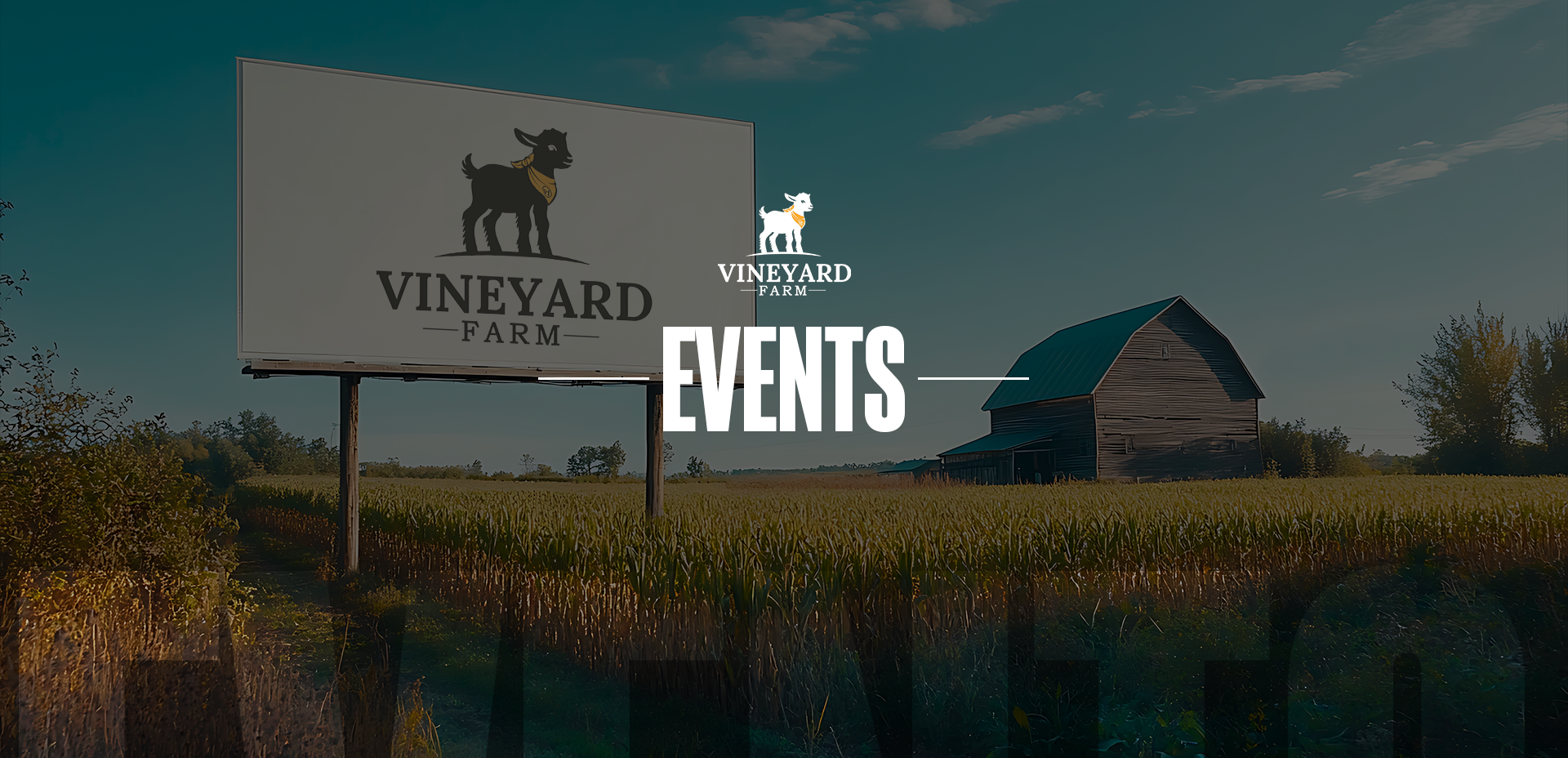 Vineyard%20Farm